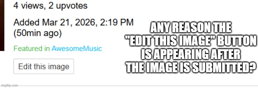 Button Stuck? | any reason the "edit this image" button is appearing after the image is submitted? | image tagged in imgflip | made w/ Imgflip meme maker
