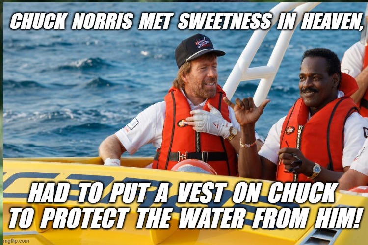 Chuck Norris | Chuck  Norris  met  Sweetness  in  heaven, had  to  put  a  vest  on  chuck  to  protect  the  water  from  him! | image tagged in chuck norris | made w/ Imgflip meme maker