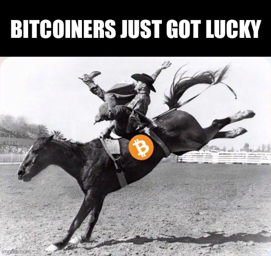 Bitcoin | Bitcoiners just got lucky | image tagged in memes | made w/ Imgflip meme maker