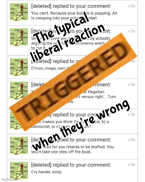 Childish Temper Tantrum | The typical liberal reaction; when they're wrong | image tagged in stupid liberals,spoiled brats,i don't want to play with you anymore,take your football,go home | made w/ Imgflip meme maker