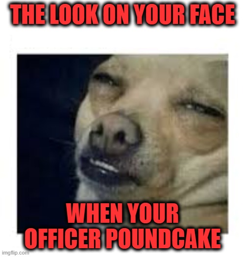 Paging officer Pound Cake | The look on your face; When your officer poundcake | image tagged in the look,pound cake,afroman,lemon pound cake,turning lemons into lemon poundcake | made w/ Imgflip meme maker