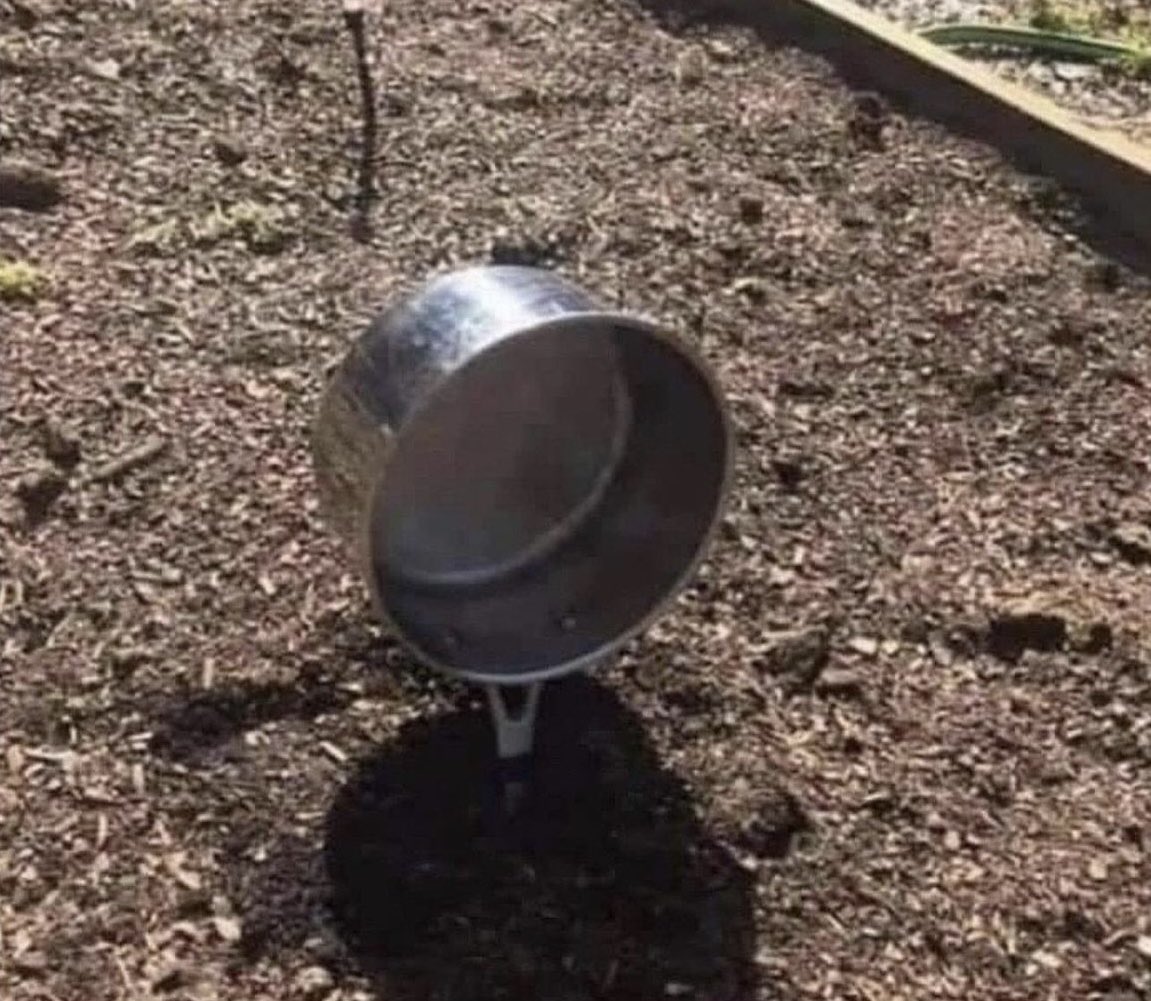 Chrisjoines1 Blank Meme Template