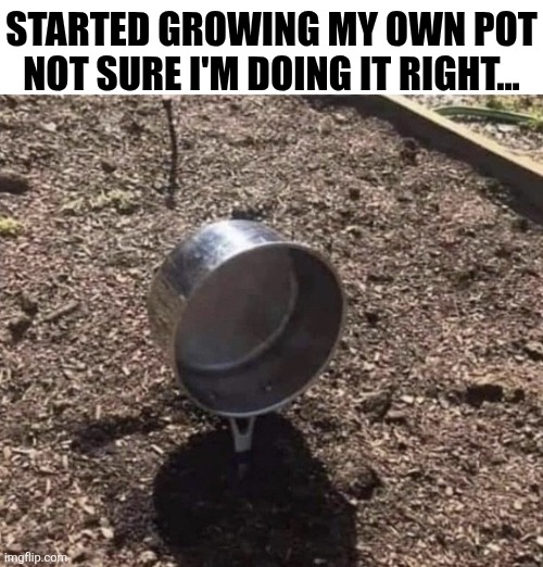 Started Growing My Own Pot | Started growing my own pot not sure I'm doing it right... | image tagged in chrisjoines1 | made w/ Imgflip meme maker