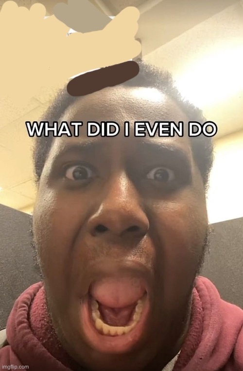 WHAT DID I EVEN DO??? | image tagged in what did i even do | made w/ Imgflip meme maker