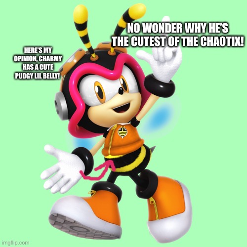 My Fact about Charmy Bee and why he’s cuter | No wonder why he’s the cutest of the Chaotix! Here’s my opinion, Charmy has a cute pudgy lil belly! | image tagged in charmy bee,shitpost,tummy | made w/ Imgflip meme maker