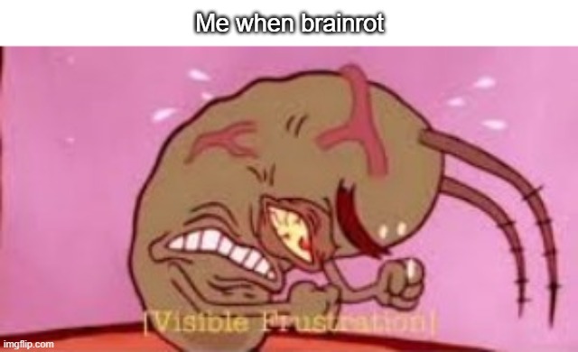 Visible Frustration | Me when brainrot | image tagged in visible frustration | made w/ Imgflip meme maker