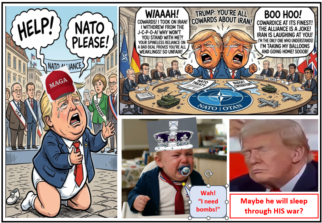 The Man Child's Latest Rant and Tantrum Blank Meme Template