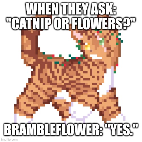 Brambleflower | WHEN THEY ASK: "CATNIP OR FLOWERS?"; BRAMBLEFLOWER: "YES." | image tagged in brambleflower | made w/ Imgflip meme maker