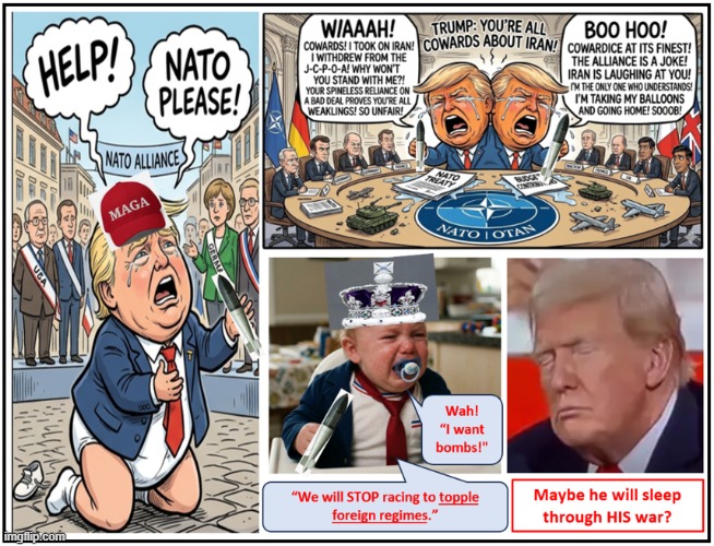 The Repub Man-Child Has Another Rant/Tantrum | image tagged in the repub man-child has another rant/tantrum | made w/ Imgflip meme maker