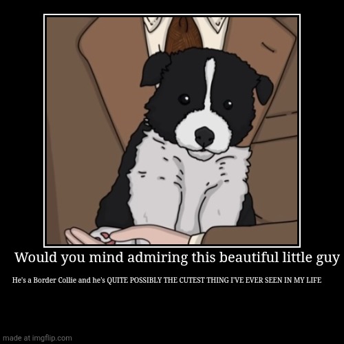 Just look at that little face! | Would you mind admiring this beautiful little guy | He's a Border Collie and he's QUITE POSSIBLY THE CUTEST THING I'VE EVER SEEN IN MY LIFE | image tagged in funny,demotivationals,dog | made w/ Imgflip demotivational maker