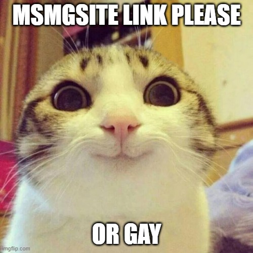 Smiling Cat Meme | msmgsite link please; or gay | image tagged in memes,smiling cat | made w/ Imgflip meme maker