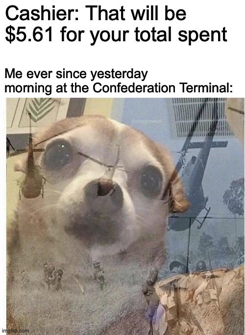 No... not that moment again! | Cashier: That will be $5.61 for your total spent; Me ever since yesterday morning at the Confederation Terminal: | image tagged in blank white template,ptsd chihuahua | made w/ Imgflip meme maker