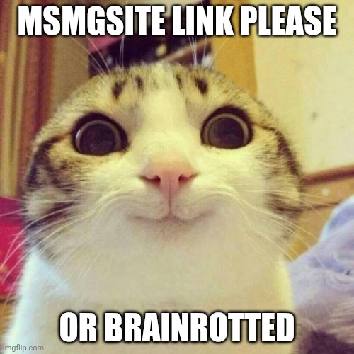 Smiling Cat Meme | msmgsite link please; or brainrotted | image tagged in memes,smiling cat | made w/ Imgflip meme maker