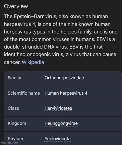 this is real | made w/ Imgflip meme maker