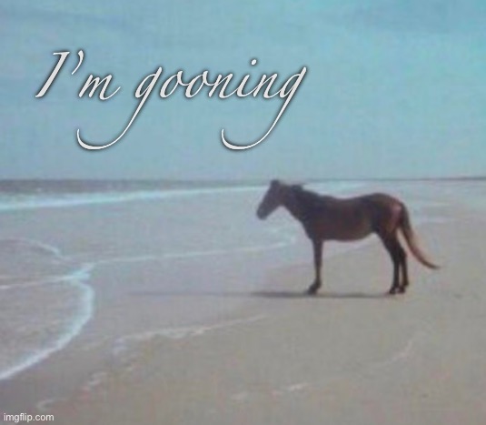 Man Horse Water | I’m gooning | image tagged in man horse water | made w/ Imgflip meme maker