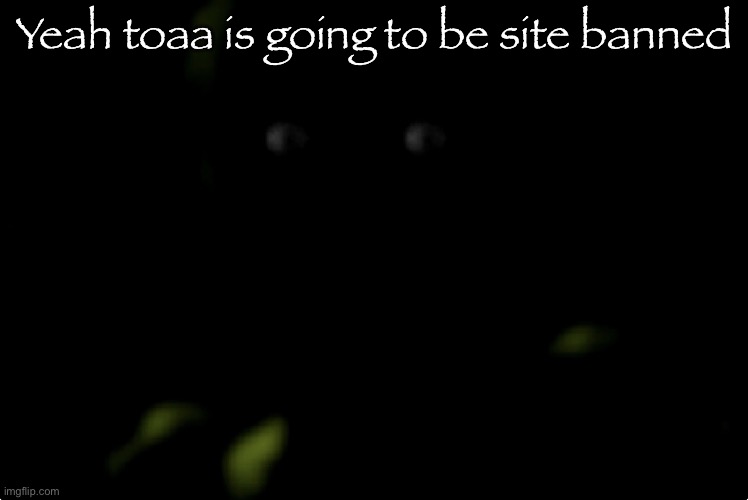 HE SAID THE N WORD | Yeah toaa is going to be site banned | image tagged in spingtrap stare | made w/ Imgflip meme maker