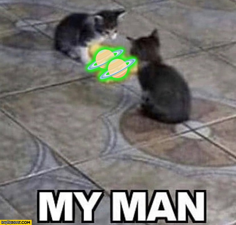 Two well known users Saturning each other | 🪐; 🪐 | image tagged in cats shaking hands,saturn kittens,two well known users saturning each other | made w/ Imgflip meme maker