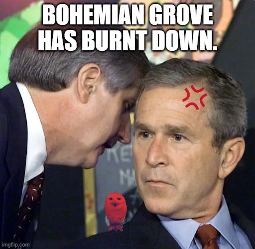Bad News Bush | bohemian grove has burnt down. | image tagged in a second plane has just hit,owls,politics | made w/ Imgflip meme maker