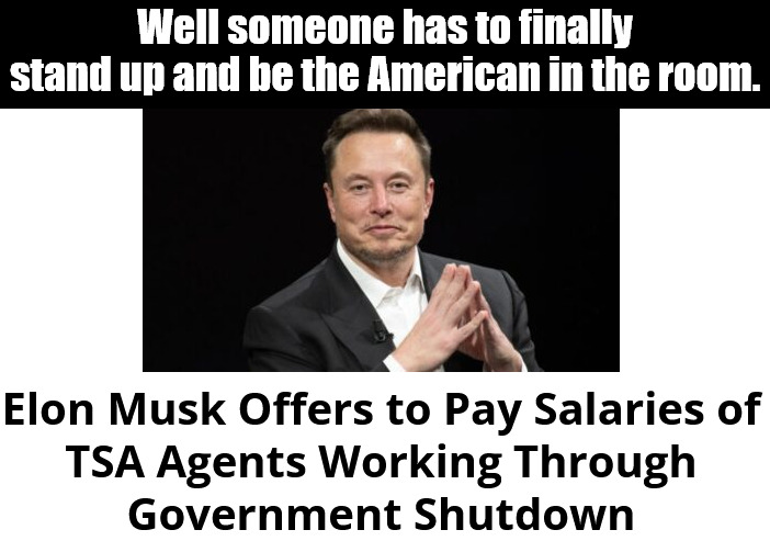 The sitters would rather crash the country at a toad wiener roast. | Well someone has to finally stand up and be the American in the room. | image tagged in musk,tsa,trump,ice,illegal alien immigrants,communist left | made w/ Imgflip meme maker