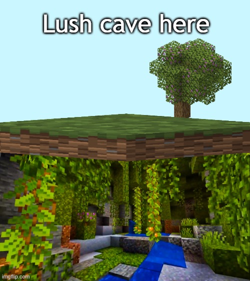 Lush cave here | Lush cave here | image tagged in minecraft 1 17 lush cave,lush cave here,minecraft,memes,funny,lol | made w/ Imgflip meme maker