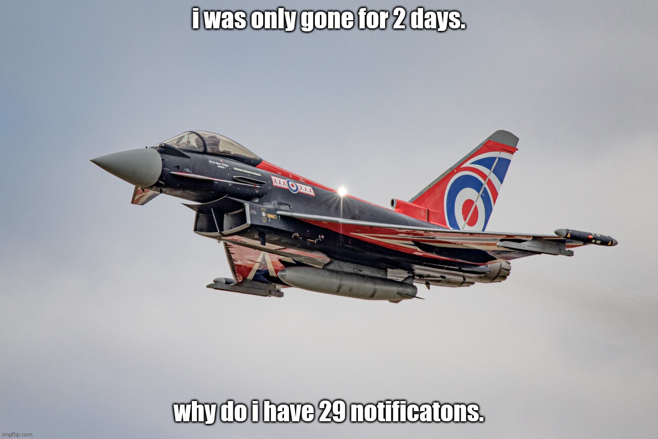 Eurofighter Typhoon Blackjack livery | i was only gone for 2 days. why do i have 29 notificatons. | image tagged in eurofighter typhoon blackjack livery | made w/ Imgflip meme maker