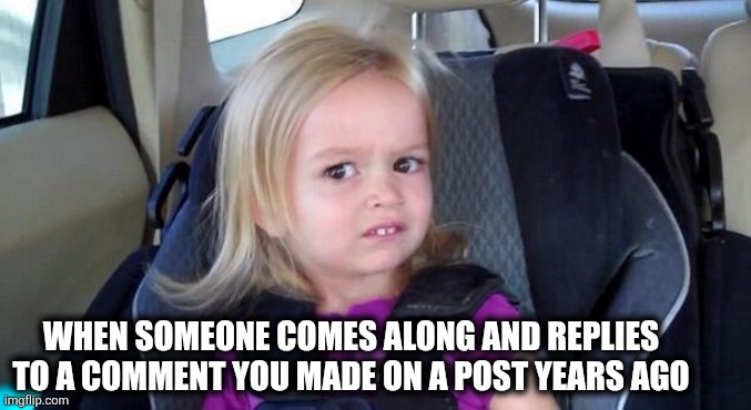 Get a life | When someone comes along and replies to a comment you made on a post years ago | image tagged in wtf girl | made w/ Imgflip meme maker