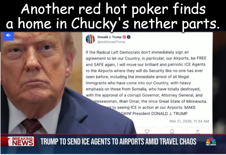 Another red hot poker finds a home in Chucky's nether parts. | image tagged in schumer,trump,ice,tsa,communist left,shut down | made w/ Imgflip meme maker