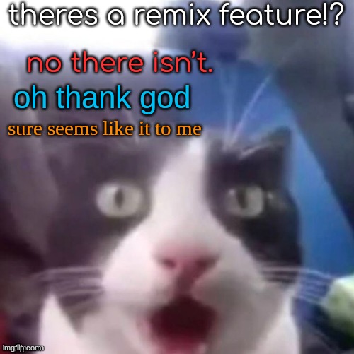 cat shocked | theres a remix feature!? no there isn’t. oh thank god; sure seems like it to me | image tagged in cat shocked | made w/ Imgflip meme maker