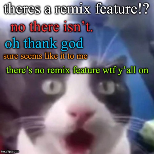 cat shocked | theres a remix feature!? no there isn’t. oh thank god; sure seems like it to me; there’s no remix feature wtf y’all on | image tagged in cat shocked | made w/ Imgflip meme maker