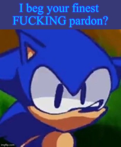 To Cute_Tummies RN | image tagged in i beg your pardon | made w/ Imgflip meme maker