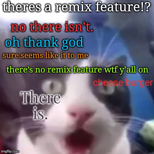 cat shocked | theres a remix feature!? no there isn’t. oh thank god; sure seems like it to me; there’s no remix feature wtf y’all on; cheese burger; There is. | image tagged in cat shocked | made w/ Imgflip meme maker