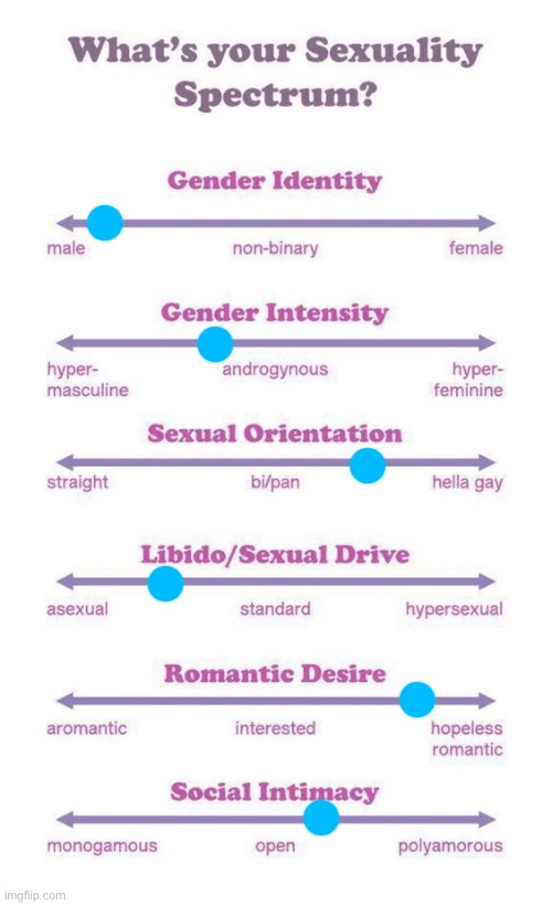My libido had gone down significantly since January | image tagged in what's your sexuality spectrum | made w/ Imgflip meme maker