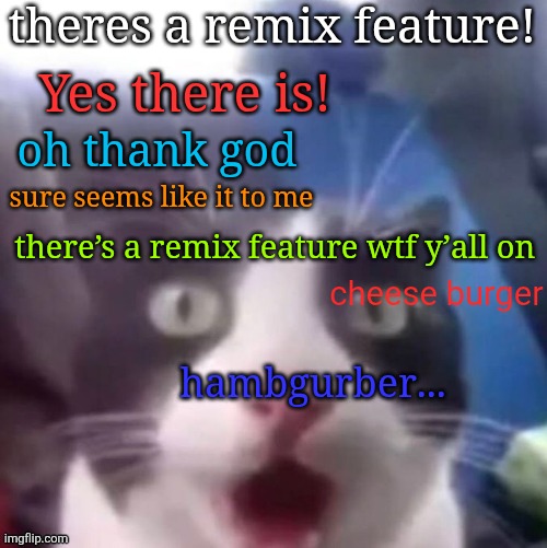 https://imgflip.com/memegenerator/483152810/cat-shocked?remix=an94e2 | theres a remix feature! Yes there is! oh thank god; sure seems like it to me; there’s a remix feature wtf y’all on; cheese burger; hambgurber... | image tagged in cat shocked | made w/ Imgflip meme maker