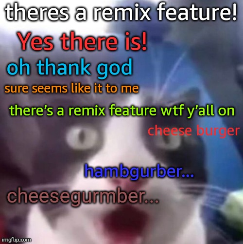 cat shocked | theres a remix feature! Yes there is! oh thank god; sure seems like it to me; there’s a remix feature wtf y’all on; cheese burger; hambgurber... cheesegurmber... | image tagged in cat shocked | made w/ Imgflip meme maker