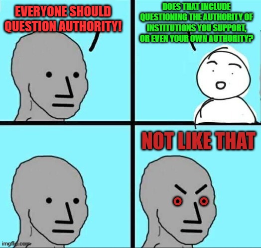 Tsk Tsk so-called "Rebels" | Does that include questioning the authority of institutions you support, or even your own authority? Everyone should question authority! | image tagged in npc not like that | made w/ Imgflip meme maker