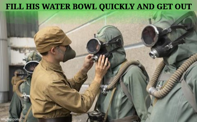 chernobyl scuba divers | Fill his water bowl quickly and get out | image tagged in chernobyl scuba divers | made w/ Imgflip meme maker