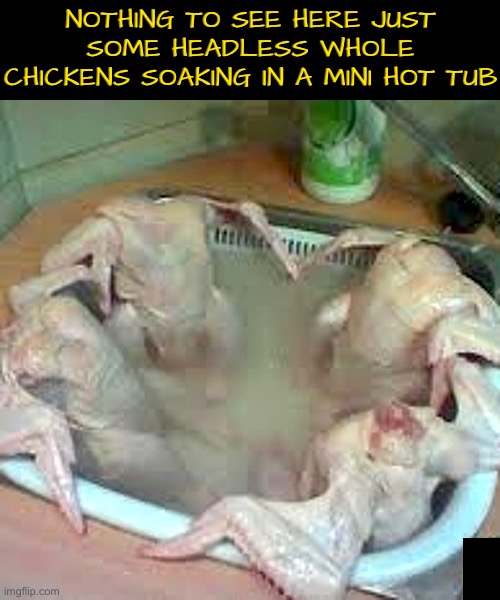Headless Chickens In Hot Tub | Nothing to see here just some headless whole chickens soaking in a mini hot tub | image tagged in cursed images,headless,chickens,hot tub,what in the hot crispy kentucky fried frick,dafuq | made w/ Imgflip meme maker