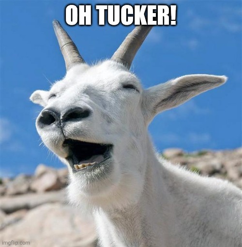 Laughing Goat Meme | Oh Tucker! | image tagged in memes,laughing goat | made w/ Imgflip meme maker