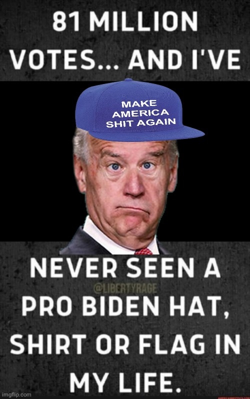 Biden Vote Fraud Blank Meme Template