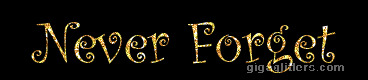Never forget Blank Meme Template
