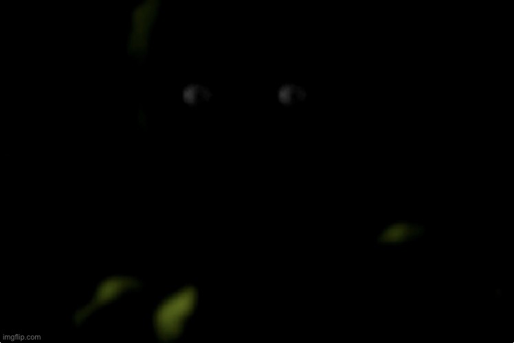 Springtrap stare | image tagged in springtrap stare | made w/ Imgflip meme maker