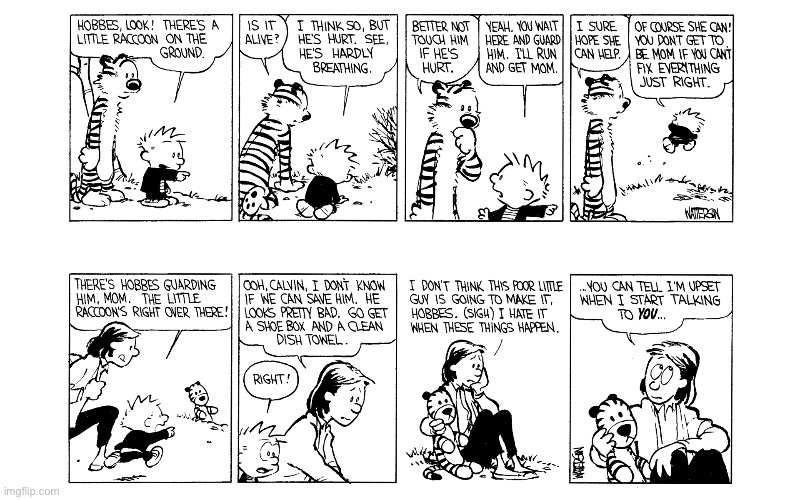 image tagged in calvin and hobbes,comics | made w/ Imgflip meme maker