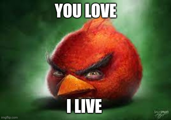 Red stop please | YOU LOVE; I LIVE | image tagged in realistic red angry birds | made w/ Imgflip meme maker