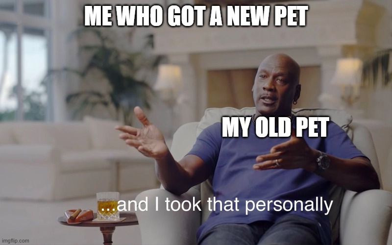 I swear they are gonna fight | Me who got a new pet; my old pet | image tagged in and i took that personally | made w/ Imgflip meme maker