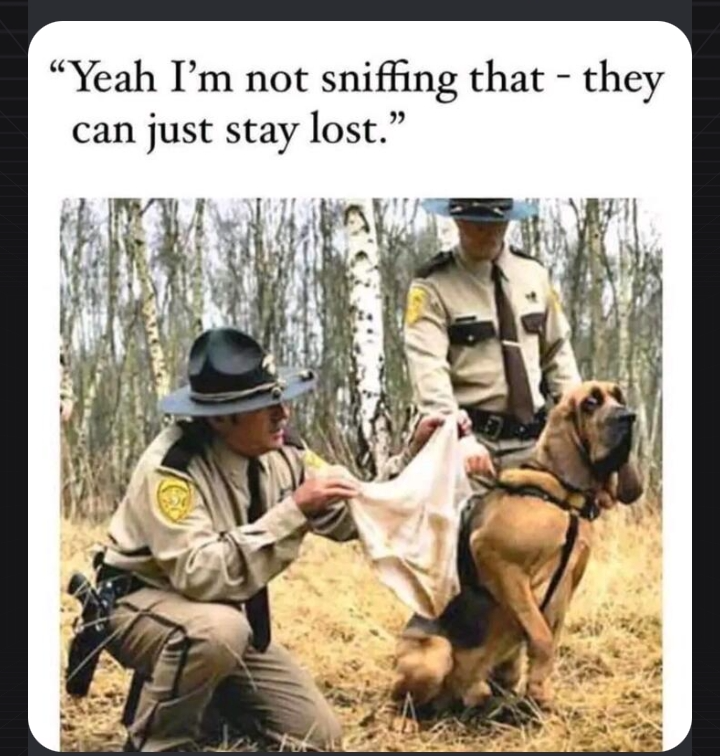 Bloodhound Blank Meme Template