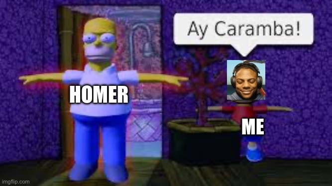 You Vs Homer | Homer; Me | image tagged in you vs homer | made w/ Imgflip meme maker