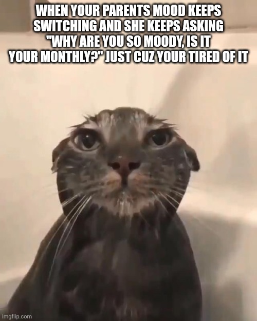 Like damn times like this reminds me why I wanna move away from them when I'm an adult | When your parents mood keeps switching and she keeps asking "why are you so moody, is it your monthly?" Just cuz your tired of it | image tagged in wet cat | made w/ Imgflip meme maker