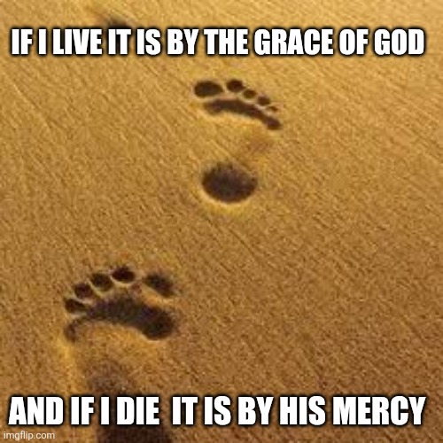 Footprints in Sand | If I live It is by the grace of god; And if I die  It is by his mercy | image tagged in footprints in sand | made w/ Imgflip meme maker