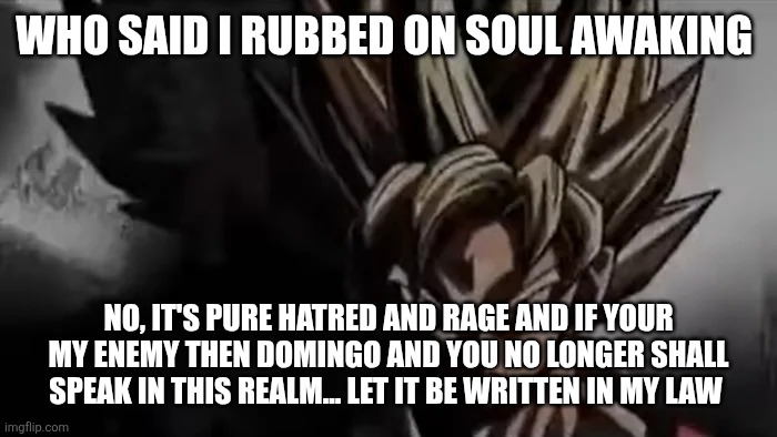Goku Staring | Who said I rubbed on soul awaking No, it's pure hatred and rage and if your my enemy then Domingo and you no longer shall speak in this real | image tagged in goku staring | made w/ Imgflip meme maker