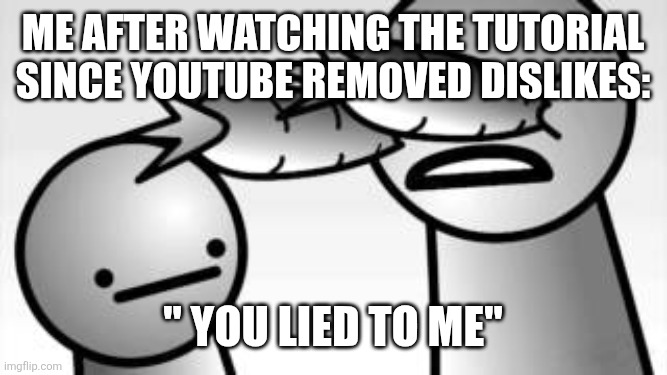 asdf you lied to me | Me after watching the tutorial since YouTube removed dislikes: " you lied to me" | image tagged in asdf you lied to me | made w/ Imgflip meme maker